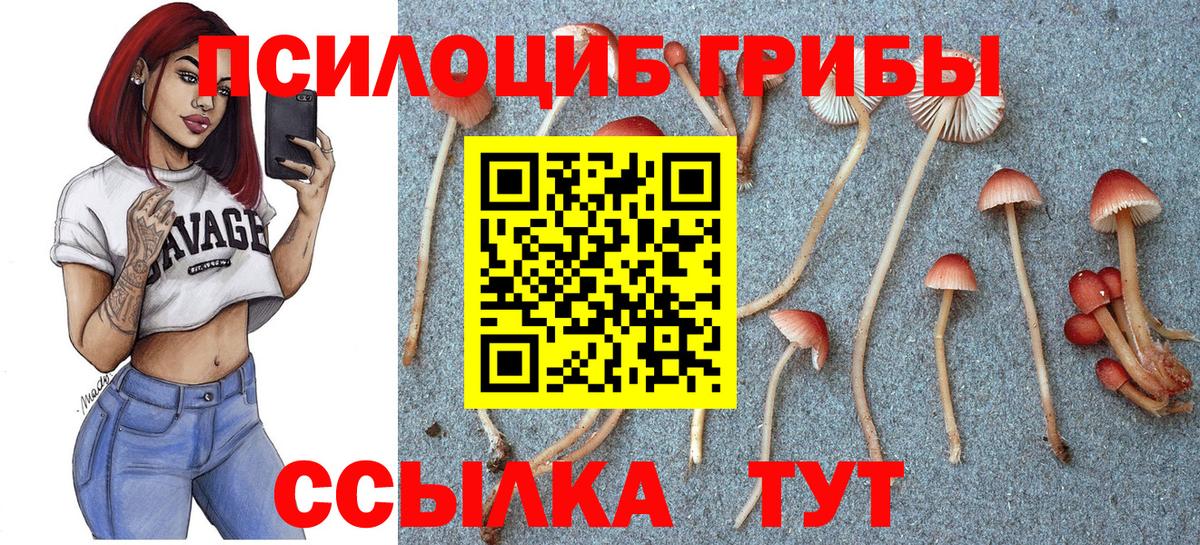Псилоцибиновые грибы мухоморы Грязи